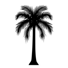Obraz premium This palm tree icon is simple, bold, and evocative, conveying a sense of tropical paradise that is perfect for various uses