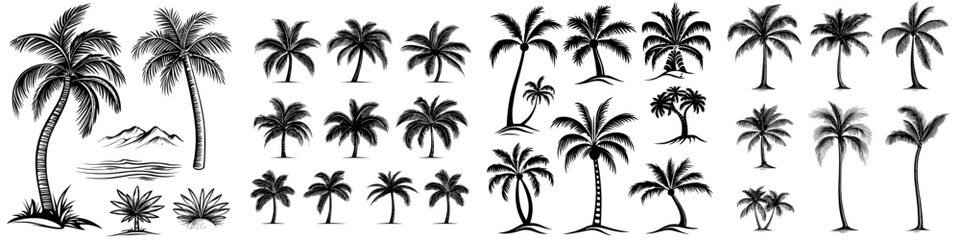 Tropical Paradise Icons is a collection of illustrations featuring palm trees