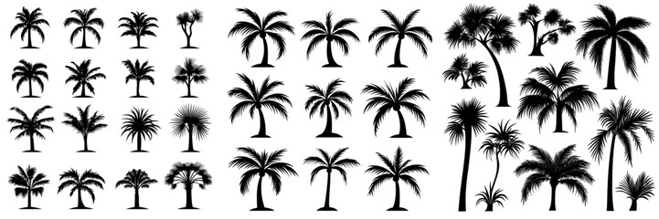 Tropical Paradise: Collection of Palm Tree Silhouettes’ is now ‘Tropical Paradise: Palm Tree Silhouettes Collection