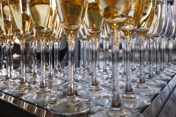 Rows of Filled Champagne Glasses at Event