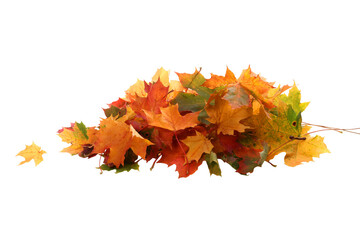  Transparent PNG of Autumn Leaf Stack. Heap of Colorful Fall Leaves Isolated