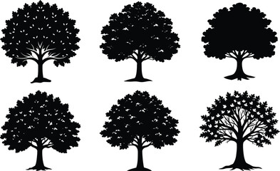 Fototapeta premium Vector art of collection of six stylized black tree silhouettes isolated on a transparent background, representing nature and growth