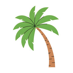 A stylized illustration of a green palm tree with a brown trunk and large green leaves, isolated on a transparent background, representing tropical locations and summer vacations
