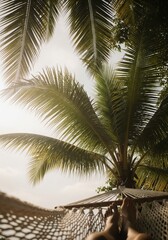 Feet in Hammock Under Palm Trees: Tropical Relaxation