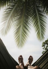 Feet in Hammock Under Palm Trees: Tropical Relaxation