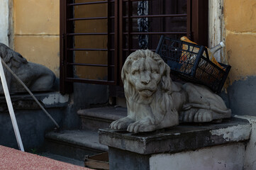 lion sculpture in front of the door