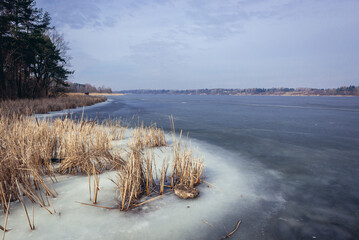 River Narew near Wieliszew, small town in Mazovia Province of Poland