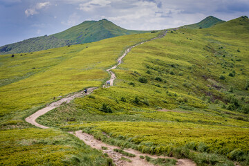 Path on the Wetlina Polonyna montane meadow in Bieszczady Mountains, Poland