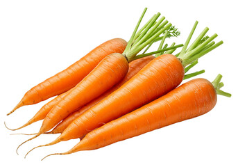 Fresh organic carrots with green tops isolated on transparent background