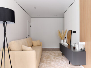 interior design. interior photography of an apartment for rent. One-room apartment with a simple and cozy design. High quality photo