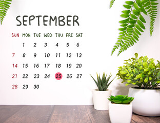 September 25, Save the date with number cube design for background.