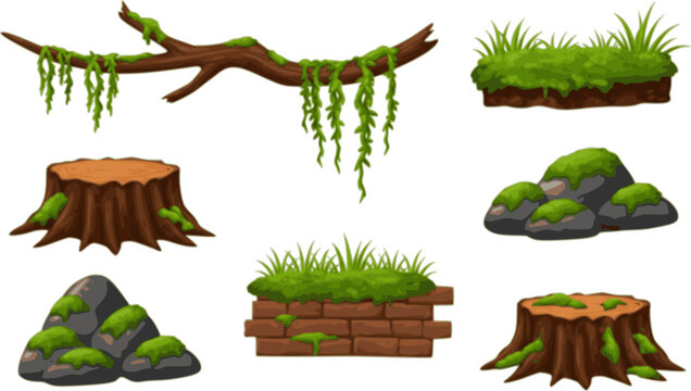 Green moss and lichen set. Swamp plant and liana hanging on forest tree branch, grass and oakmoss growth on brown stump and brick wall, mossy rocks and stones collection cartoon 