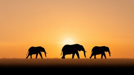 Fototapeta premium Elephant Silhouette at Sunset | African Wildlife | Safari