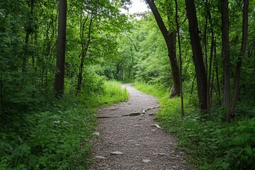 Wooded path winds through lush greenery