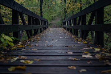 Obraz premium Wooden bridge path through autumnal forest