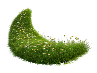 Crescent Moon of Grass and Daisies Spring Nature Image for Design