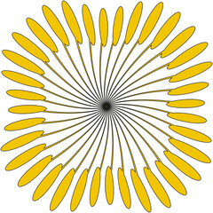 Abstract radial pattern. Yellow sunburst form. Geometric line art. Vector explosion design.