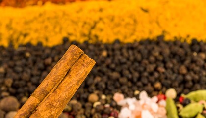 Close-up view of two cinnamon sticks set against a vibrant background of various spices, highlighting the warm hues and textures of the ingredients.