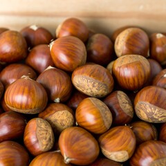 Close-up of many chestnuts