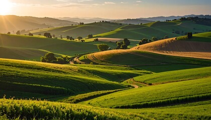 Obraz premium A picturesque landscape of rolling hills, vibrant green fields, and golden harvested crops, bathed in the warm glow of a tranquil sunset.