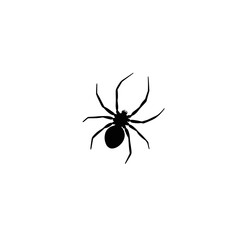 Black spider icon isolated in a white background with transparency
