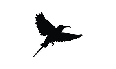 Amethyst sunbird bird Silhouette Design  And Vector Illustration. 