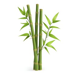 Fresh green bamboo stalks with vibrant leaves, symbolizing nature and tranquility in any setting.