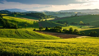 A sweeping vista of rolling hills and fertile fields, bathed in the golden light of a serene sunset.