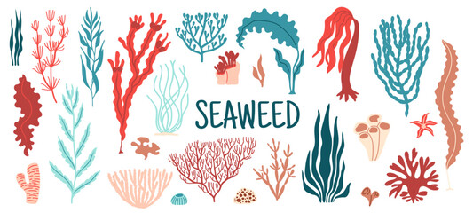 Underwater aquarium seaweed and sea algae plants. Vector set of colorful coral reef tropical wildlife biodiversity. Ocean undersea water life isolated marine weeds, wracks, laminaria or kelp flora
