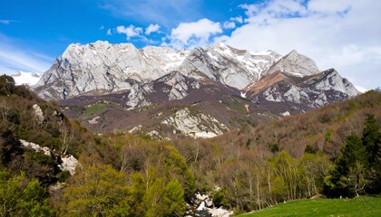 Majestic mountain range with lush forests