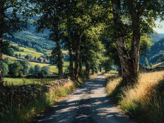 Obraz premium Road winds through trees to small hamlet in French countryside.