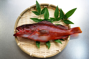 旬の新鮮なアカハタ © yuuyu