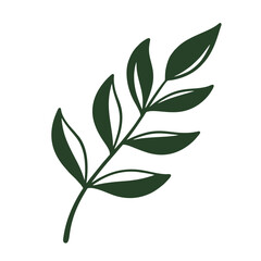 Naklejka premium green leaves isolated on white