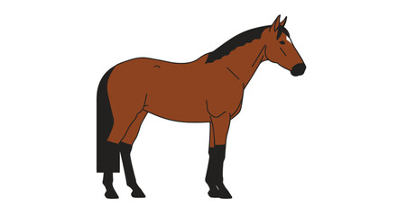 Fototapeta premium A simple illustration of a brown horse standing in profile with black mane, tail, and lower legs against a white background.