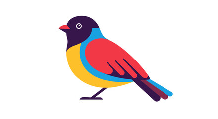 Obraz premium Colorful stylized bird illustration with vibrant plumage, standing on white background.