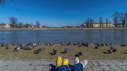 Relaxed feet by a river, birds on the shore.