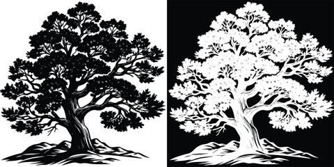 Stunning silhouette of a majestic, ancient tree with sprawling branches against a contrasting background