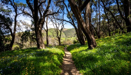 Fototapeta premium A sun-drenched pathway winds through a vibrant meadow, lined with towering trees, casting dappled sunlight on the wildflowers.