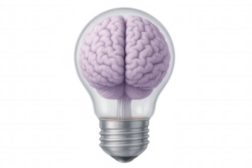 Light bulb containing growing brain symbolizing ideas, innovation, and creativity, on a transparent background