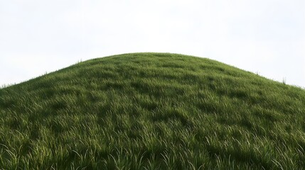 Naklejka premium Lush Green Grass Hill Landscape Nature Scene