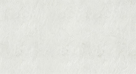 Obraz premium Textured White Paper Background with Subtle Veining.
