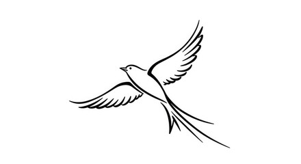 A detailed black and white line drawing of a bird in flight with outstretched wings.