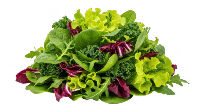 Fresh mixed greens salad with vibrant colors and healthy ingredients