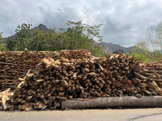 Pile of Wooden Beams in Open Landscape