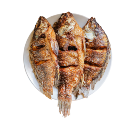 whole fried tilapia fish