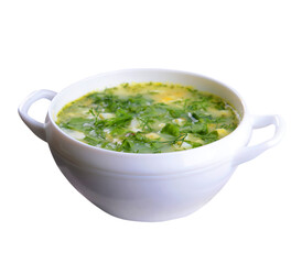 traditional vegetable soup from ukraine 