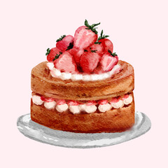 illustration watercolor style painting of desserts strawberry sponge cake whole vector
