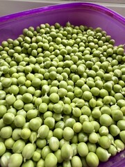 Ripe green peas collected in a purple container close up healthy organic food