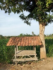 Wooden gazebo in the field 