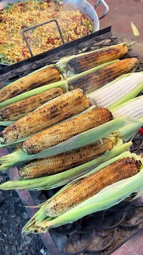 Delicious grilled corn on the cob elotes with mexican street food. 